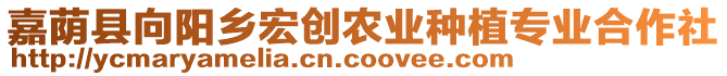 嘉蔭縣向陽鄉(xiāng)宏創(chuàng)農(nóng)業(yè)種植專業(yè)合作社