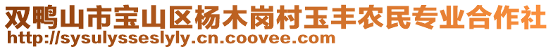 雙鴨山市寶山區(qū)楊木崗村玉豐農(nóng)民專業(yè)合作社