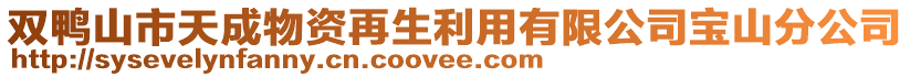 雙鴨山市天成物資再生利用有限公司寶山分公司