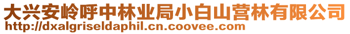 大興安嶺呼中林業(yè)局小白山營林有限公司