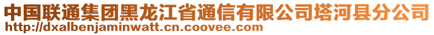 中国联通集团黑龙江省通信有限公司塔河县分公司