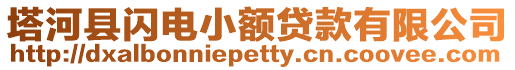 塔河縣閃電小額貸款有限公司