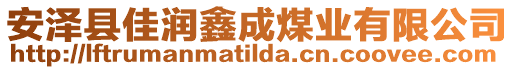 安澤縣佳潤鑫成煤業(yè)有限公司