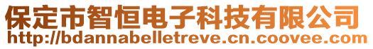 保定市智恒電子科技有限公司