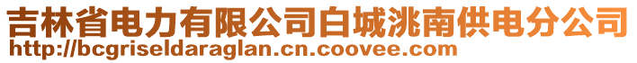 吉林省電力有限公司白城洮南供電分公司