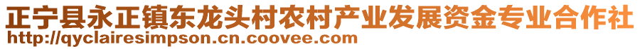 正寧縣永正鎮(zhèn)東龍頭村農(nóng)村產(chǎn)業(yè)發(fā)展資金專業(yè)合作社