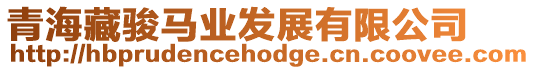 青海藏駿馬業發展有限公司