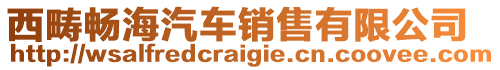 西疇暢海汽車銷售有限公司