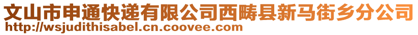 文山市申通快遞有限公司西疇縣新馬街鄉(xiāng)分公司