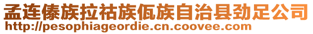 孟連傣族拉祜族佤族自治縣勁足公司