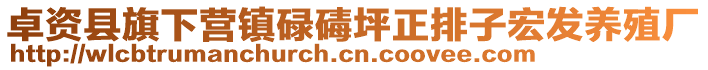 卓資縣旗下?tīng)I(yíng)鎮(zhèn)碌碡坪正排子宏發(fā)養(yǎng)殖廠