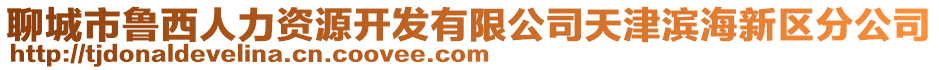 聊城市魯西人力資源開發(fā)有限公司天津濱海新區(qū)分公司