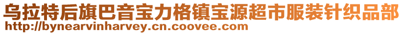 烏拉特后旗巴音寶力格鎮寶源超市服裝針織品部