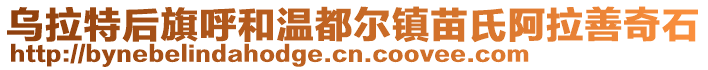 烏拉特后旗呼和溫都爾鎮(zhèn)苗氏阿拉善奇石