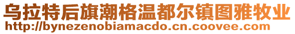 烏拉特后旗潮格溫都爾鎮(zhèn)圖雅牧業(yè)
