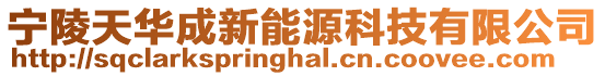 寧陵天華成新能源科技有限公司