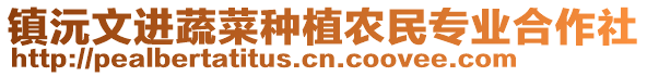 鎮(zhèn)沅文進(jìn)蔬菜種植農(nóng)民專(zhuān)業(yè)合作社