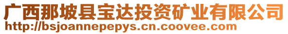 广西那坡县宝达投资矿业有限公司