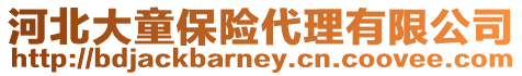 河北大童保險(xiǎn)代理有限公司