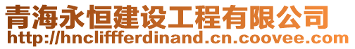 青海永恒建設工程有限公司