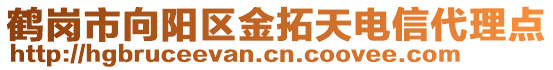 鶴崗市向陽區(qū)金拓天電信代理點(diǎn)