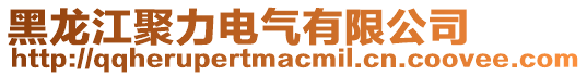 黑龍江聚力電氣有限公司