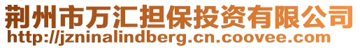 荊州市萬(wàn)匯擔(dān)保投資有限公司
