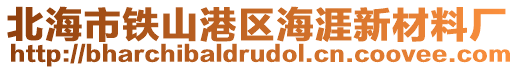 北海市鐵山港區(qū)海涯新材料廠