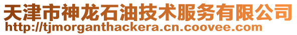 天津市神龍石油技術(shù)服務(wù)有限公司