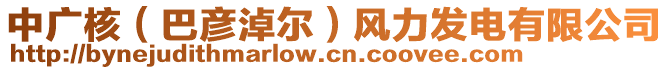 中廣核（巴彥淖爾）風力發電有限公司