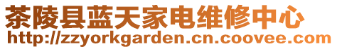 茶陵縣藍(lán)天家電維修中心