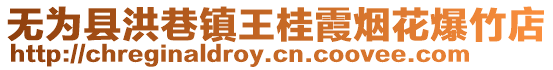 無為縣洪巷鎮(zhèn)王桂霞煙花爆竹店