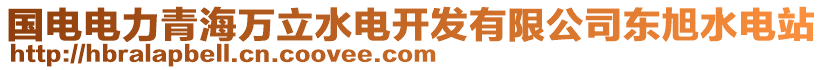 國電電力青海萬立水電開發(fā)有限公司東旭水電站