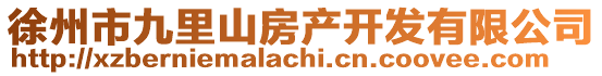 徐州市九里山房產(chǎn)開發(fā)有限公司