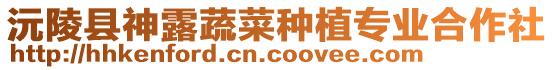 沅陵縣神露蔬菜種植專業(yè)合作社