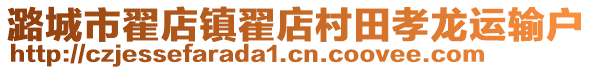 潞城市翟店镇翟店村田孝龙运输户