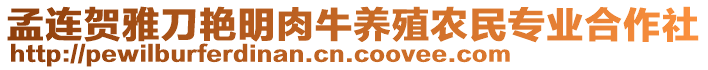 孟連賀雅刀艷明肉牛養(yǎng)殖農(nóng)民專業(yè)合作社