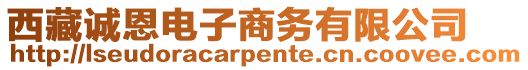 西藏誠恩電子商務有限公司