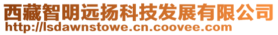 西藏智明遠(yuǎn)揚(yáng)科技發(fā)展有限公司