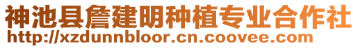 神池县詹建明种植专业合作社