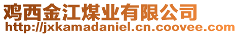 雞西金江煤業(yè)有限公司