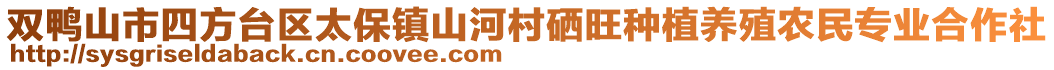 双鸭山市四方台区太保镇山河村硒旺种植养殖农民专业合作社