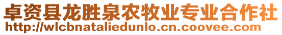 卓資縣龍勝泉農(nóng)牧業(yè)專業(yè)合作社