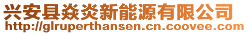 興安縣焱炎新能源有限公司