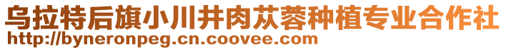 烏拉特后旗小川井肉蓯蓉種植專業合作社