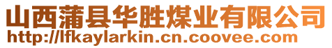 山西蒲縣華勝煤業(yè)有限公司