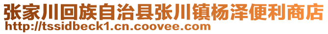 张家川回族自治县张川镇杨泽便利商店