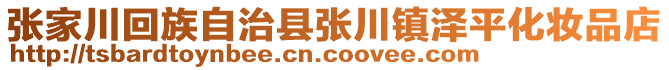 张家川回族自治县张川镇泽平化妆品店