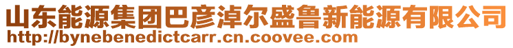 山東能源集團(tuán)巴彥淖爾盛魯新能源有限公司