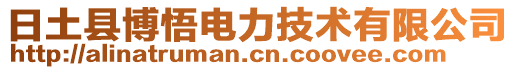 日土縣博悟電力技術(shù)有限公司